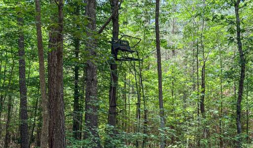 Photo #68 of 9013 Southampton Pkwy, Drewryville, VA 17.5 acres