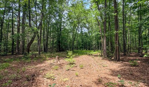 Photo #69 of 9013 Southampton Pkwy, Drewryville, VA 17.5 acres