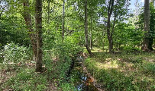 Photo #72 of 9013 Southampton Pkwy, Drewryville, VA 17.5 acres