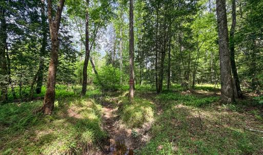 Photo #73 of 9013 Southampton Pkwy, Drewryville, VA 17.5 acres