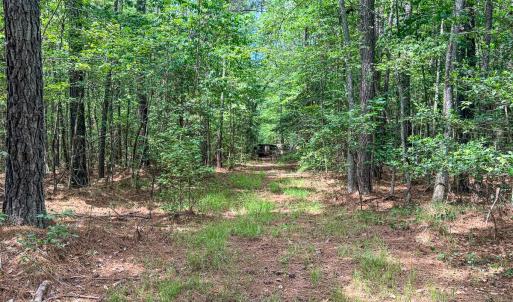 Photo #75 of 9013 Southampton Pkwy, Drewryville, VA 17.5 acres