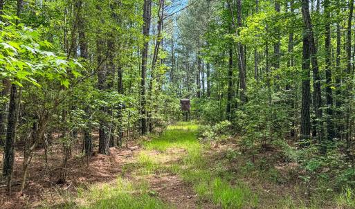 Photo #77 of 9013 Southampton Pkwy, Drewryville, VA 17.5 acres