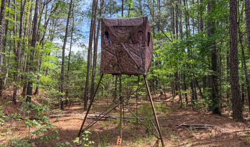 Photo #78 of 9013 Southampton Pkwy, Drewryville, VA 17.5 acres