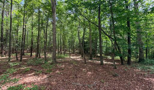 Photo #79 of 9013 Southampton Pkwy, Drewryville, VA 17.5 acres