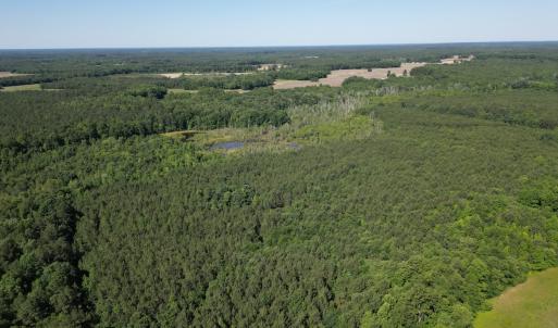 Photo #3 of Off of Heathsville RD, Enfield, NC 37.2 acres