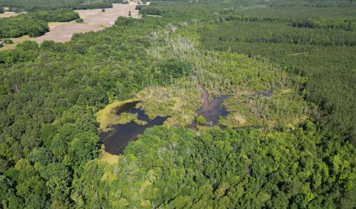 Photo #5 of Off of Heathsville RD, Enfield, NC 37.2 acres