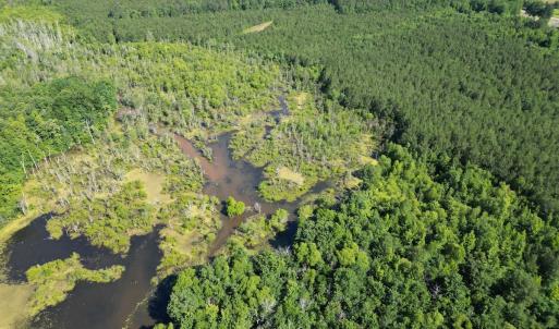 Photo #6 of Off of Heathsville RD, Enfield, NC 37.2 acres