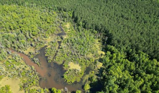 Photo #7 of Off of Heathsville RD, Enfield, NC 37.2 acres