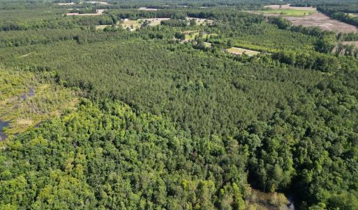Photo #9 of Off of Heathsville RD, Enfield, NC 37.2 acres