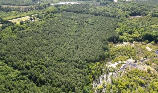Photo #11 of Off of Heathsville RD, Enfield, NC 37.2 acres