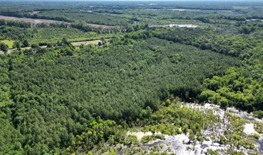 Photo #12 of Off of Heathsville RD, Enfield, NC 37.2 acres