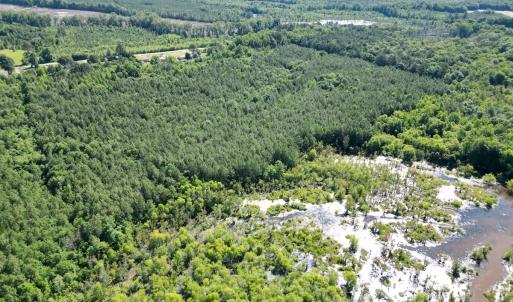Photo #13 of Off of Heathsville RD, Enfield, NC 37.2 acres