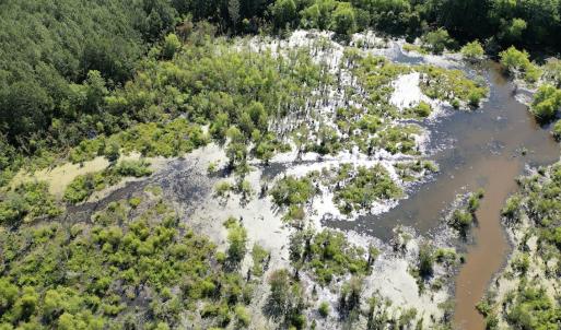Photo #15 of Off of Heathsville RD, Enfield, NC 37.2 acres