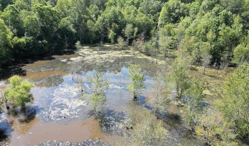 Photo #16 of Off of Heathsville RD, Enfield, NC 37.2 acres