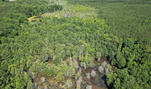 Photo #17 of Off of Heathsville RD, Enfield, NC 37.2 acres