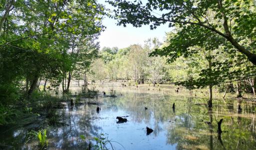 Photo #18 of Off of Heathsville RD, Enfield, NC 37.2 acres