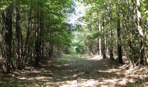Photo #20 of Off of Heathsville RD, Enfield, NC 37.2 acres