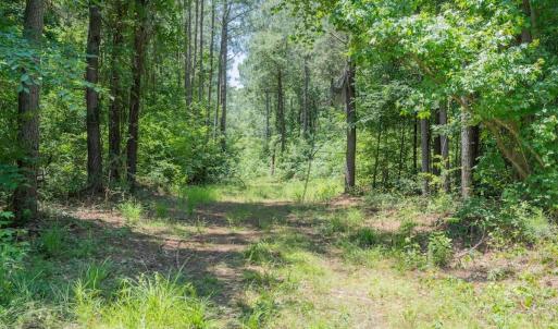 Photo #25 of Off NC 42, Tarboro, NC 39.7 acres