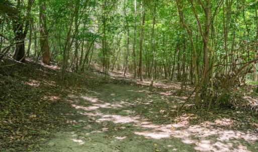 Photo #28 of Off NC 42, Tarboro, NC 39.7 acres