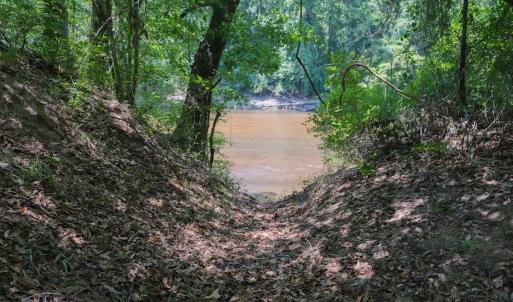 Photo #29 of Off NC 42, Tarboro, NC 39.7 acres