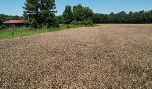 Photo #12 of Off of Barker Ten Mile Rd, Lumberton, NC 0.5 acres