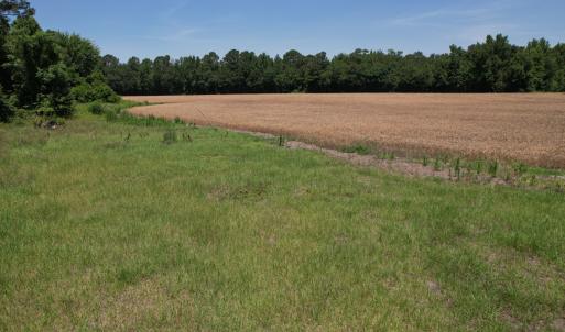 Photo #2 of Off of Barker Ten Mile Rd, Lumberton, NC 0.5 acres