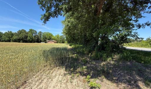 Photo #24 of Off of Barker Ten Mile Rd, Lumberton, NC 0.5 acres