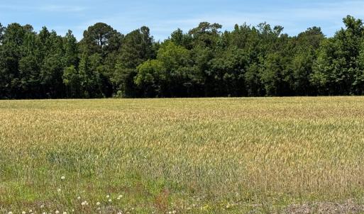 Photo #25 of Off of Barker Ten Mile Rd, Lumberton, NC 0.5 acres
