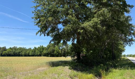 Photo #31 of Off of Barker Ten Mile Rd, Lumberton, NC 0.5 acres
