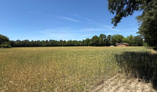 Photo #6 of Off of Barker Ten Mile Rd, Lumberton, NC 0.5 acres