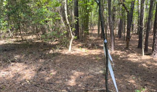 Photo #14 of Off Mt Pleasant Church Road, Manson, NC 12.6 acres