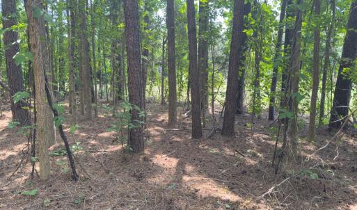 Photo #17 of Off Mt Pleasant Church Road, Manson, NC 12.6 acres