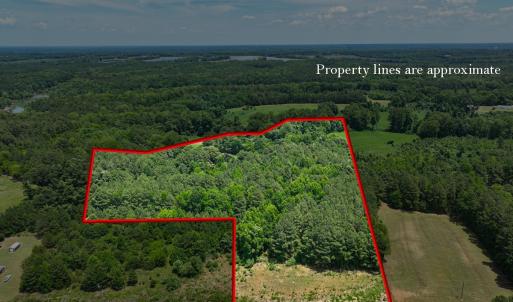 Photo #1 of Off Mt Pleasant Church Road, Manson, NC 12.6 acres
