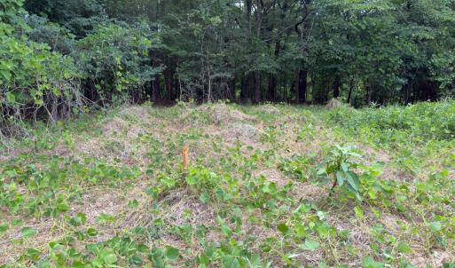 Photo #20 of Off Mt Pleasant Church Road, Manson, NC 12.6 acres