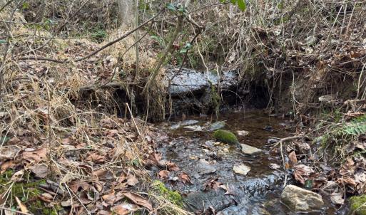 Photo #4 of Off Mt Pleasant Church Road, Manson, NC 12.6 acres