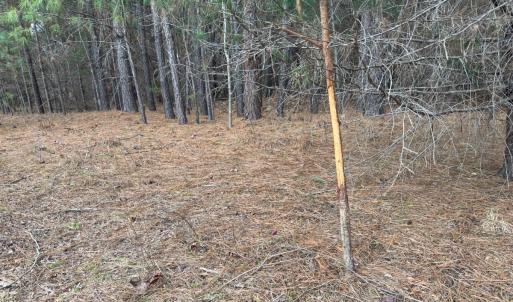 Photo #7 of Off Mt Pleasant Church Road, Manson, NC 12.6 acres