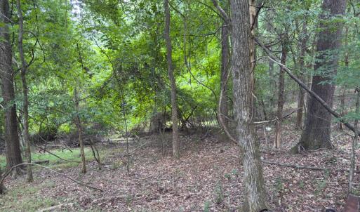 Photo #24 of Off Mt Pleasant Church Road, Manson, NC 12.6 acres