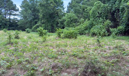 Photo #26 of Off Mt Pleasant Church Road, Manson, NC 12.6 acres