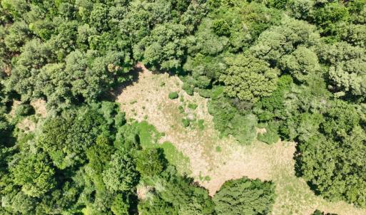 Photo #27 of Off Mt Pleasant Church Road, Manson, NC 12.6 acres
