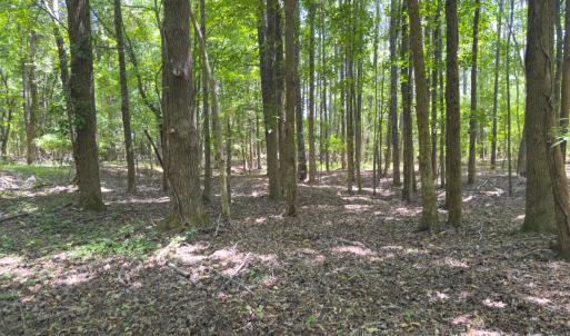Photo #28 of Off Mt Pleasant Church Road, Manson, NC 12.6 acres