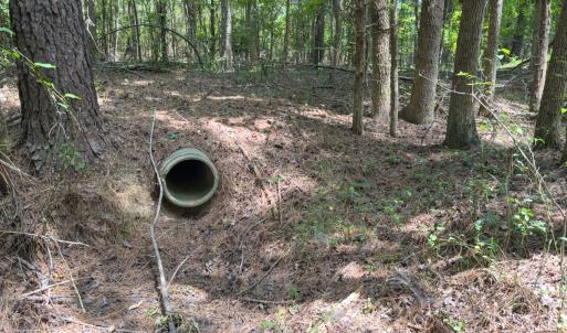 Photo #34 of Off Mt Pleasant Church Road, Manson, NC 12.6 acres