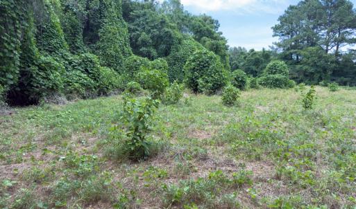 Photo #36 of Off Mt Pleasant Church Road, Manson, NC 12.6 acres
