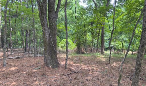 Photo #37 of Off Mt Pleasant Church Road, Manson, NC 12.6 acres