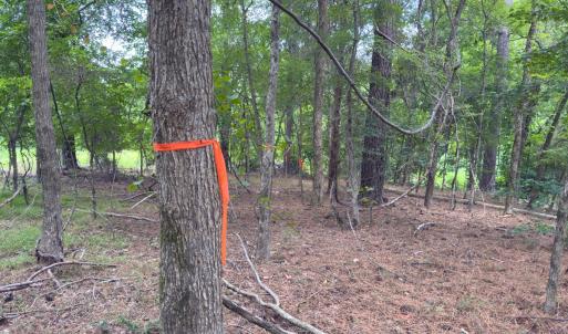 Photo #38 of Off Mt Pleasant Church Road, Manson, NC 12.6 acres