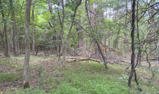 Photo #40 of Off Mt Pleasant Church Road, Manson, NC 12.6 acres