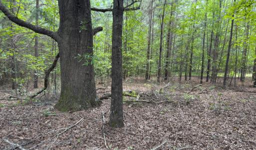 Photo #41 of Off Mt Pleasant Church Road, Manson, NC 12.6 acres