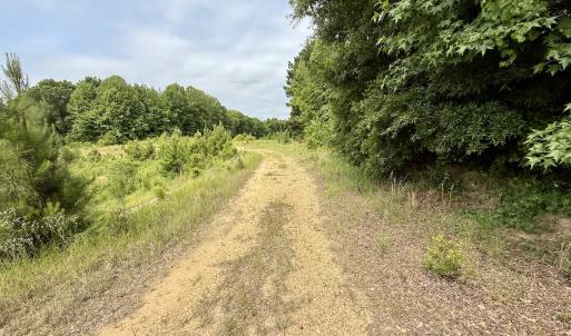 Photo #11 of 02 Titan Roberts Rd, Erwin, NC 50.0 acres