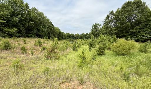 Photo #12 of 02 Titan Roberts Rd, Erwin, NC 50.0 acres