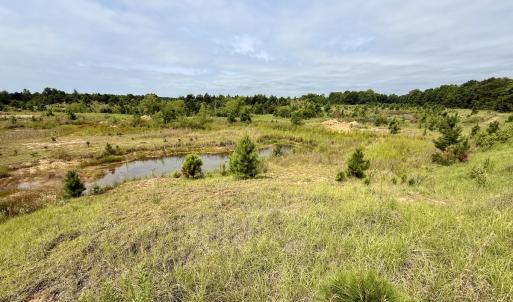 Photo #13 of 02 Titan Roberts Rd, Erwin, NC 50.0 acres