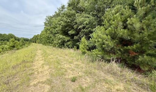 Photo #14 of 02 Titan Roberts Rd, Erwin, NC 50.0 acres